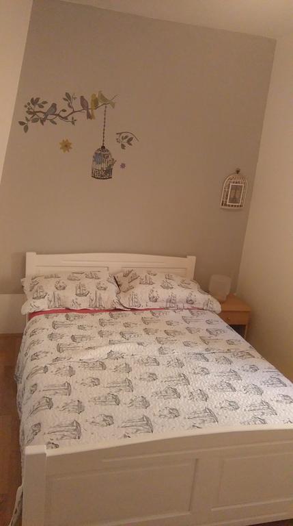 שיבניק Apartment Buba מראה חיצוני תמונה