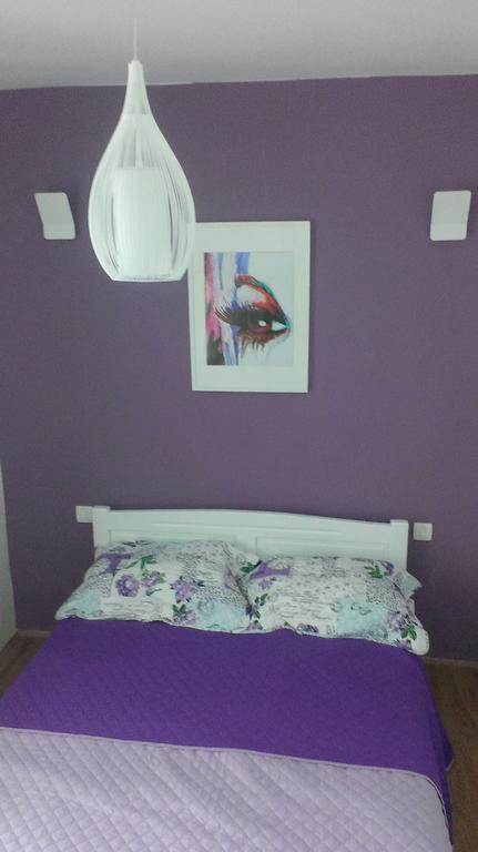 שיבניק Apartment Buba מראה חיצוני תמונה